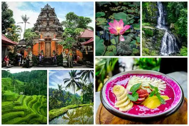 Ubud Bali Travel Guide: 33 Best Things To Do
